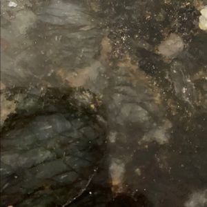 Meet your Posher, Patricia